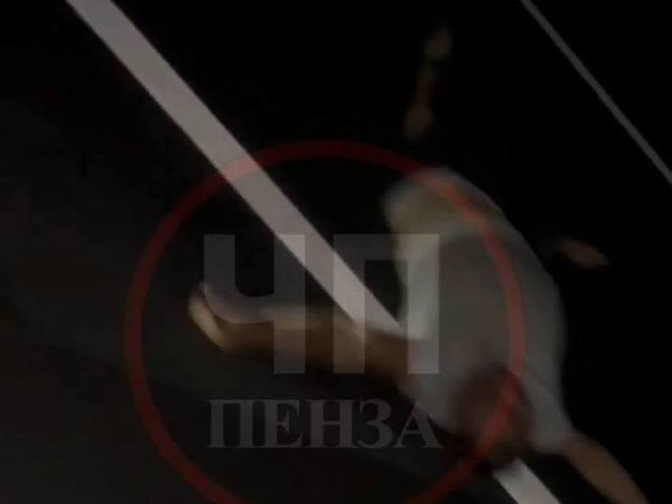 В Пензенской области на трассе сбили мужчину