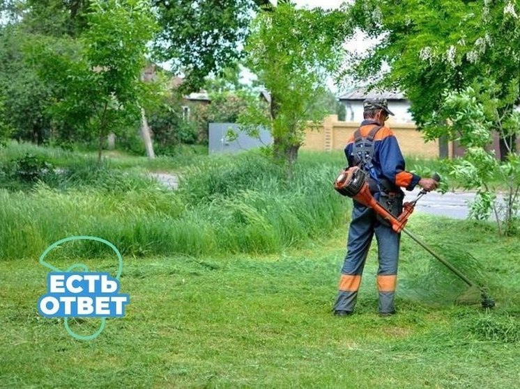 Пензенцам рассказали, когда скосят траву в селе Михайловка
