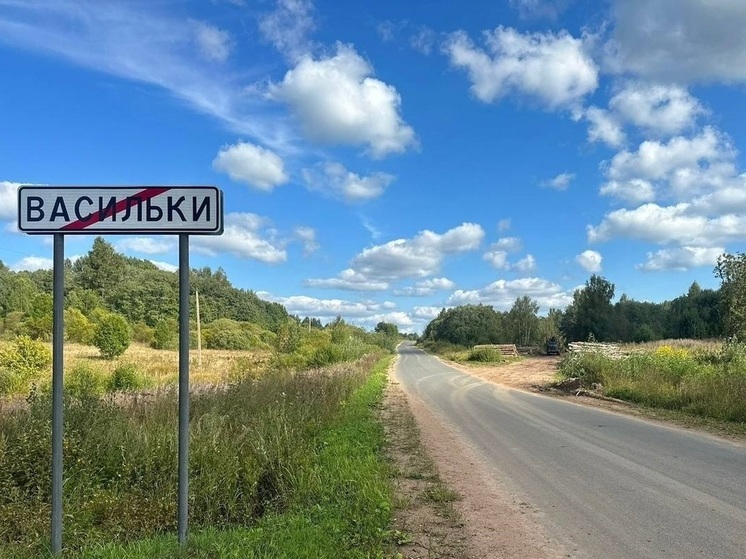 Минтранс Новгородчины ликвидирует незаконные съезды с дорог общего пользования