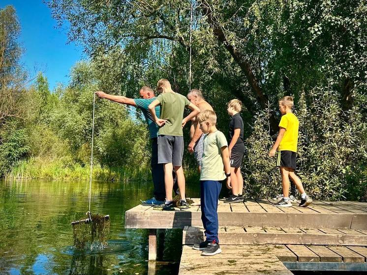 Серпуховичи привели в порядок «Балатон»