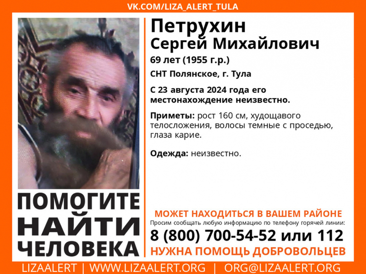 Под Тулой ищут пропавшего 69-летнего мужчину