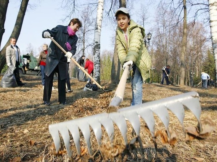 Субботник результаты. Субботник. Субботник результаты. Субботник мешки перчатки. Субботник результаты.