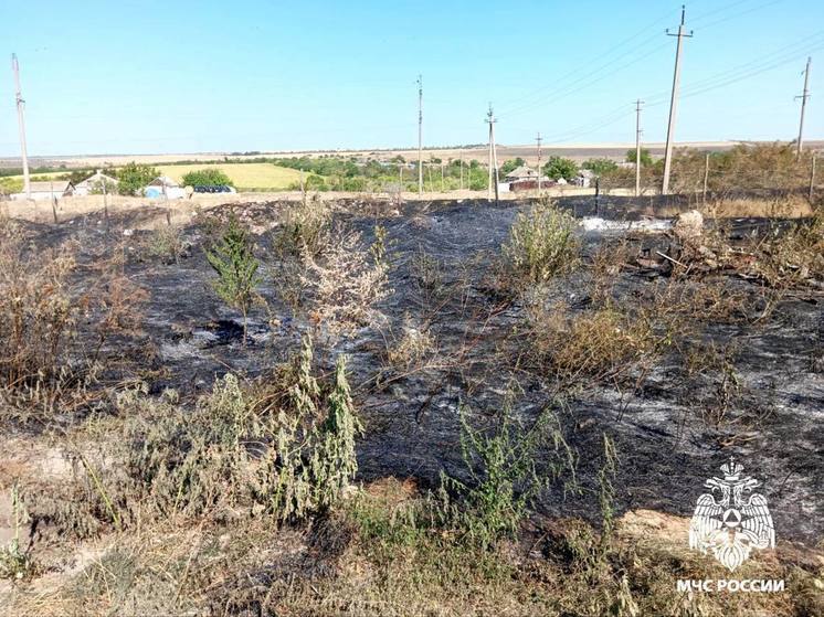 В Новоазовском районе от огня спасли птицефабрику