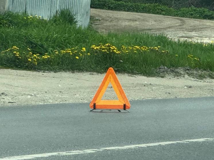В Тульской области на Новомосковском шоссе в ДТП попала "буханка"