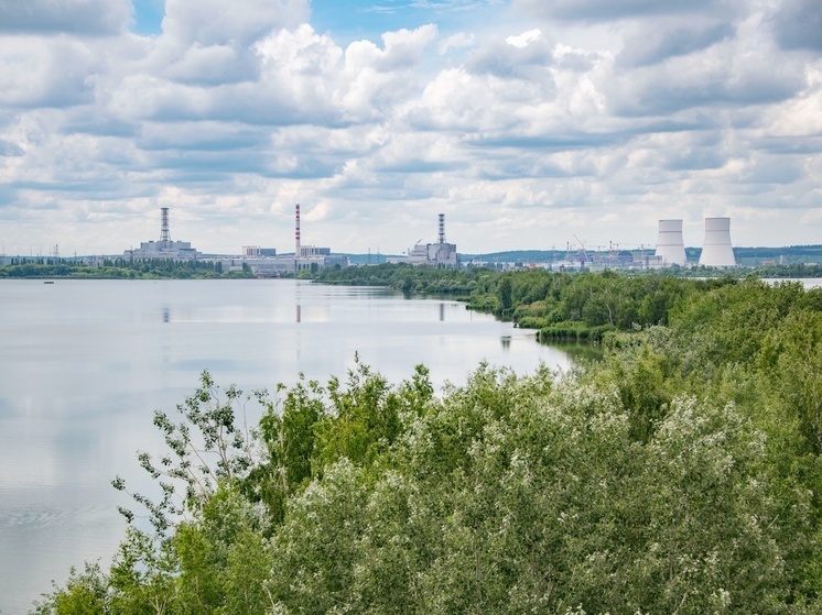 Глава МАГАТЭ Рафаэль Гросси 27 августа посетит Курскую АЭС