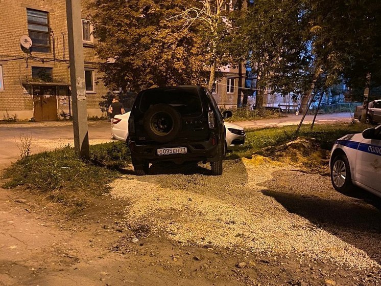 В Новомосковска «Нива» сбила пешехода