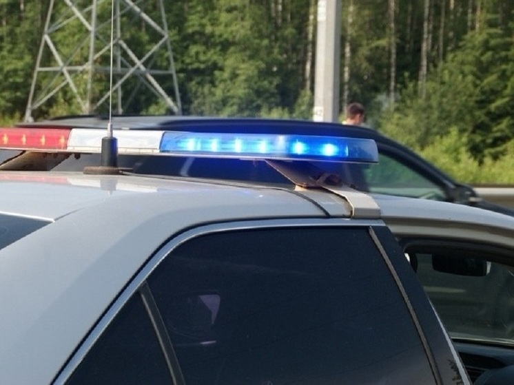 Сотрудники ГАИ Новгородской области за неделю пресекли 21 583 нарушения ПДД
