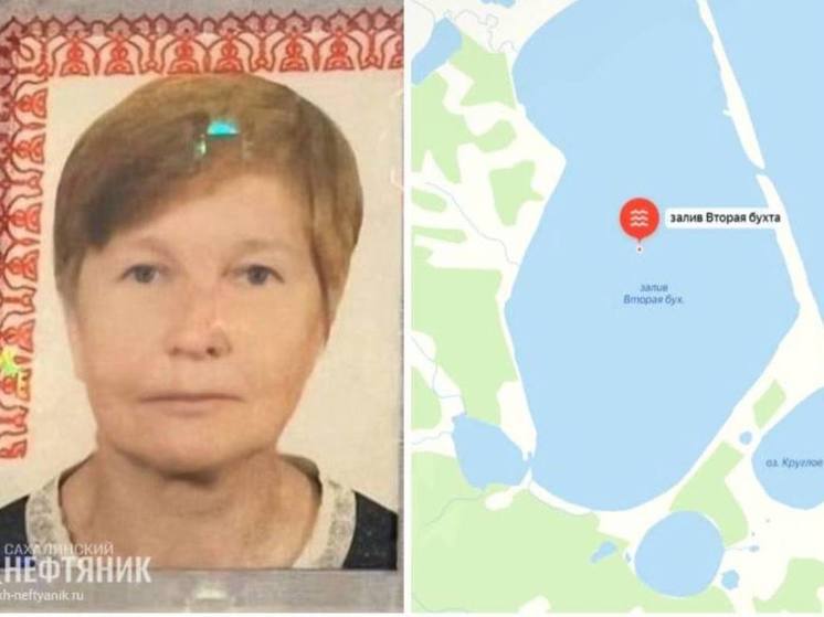 В Охинском районе ведут поиски ушедшей за дикоросами пенсионерки
