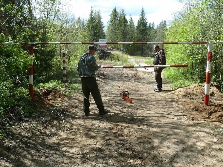 В последние дни лета в костомские леса снова вновь вернется опасность пожаров