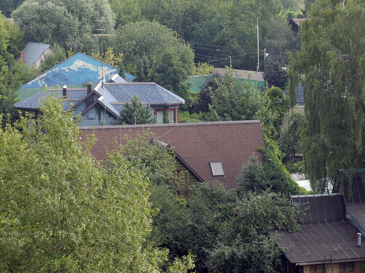 Египтянин терроризирует жителей СНТ в Ногинске