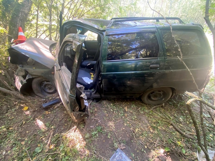 В Орловской области легковушка слетела с дороги и врезалась в дерево
