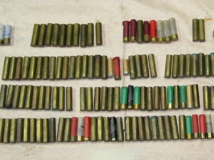 В ДНР за неделю изъяли более 1600 патронов различного калибра