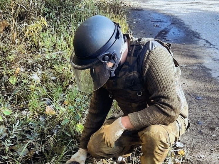 Под Ершичами и в Екимовичах нашли боеприпасы времен войны