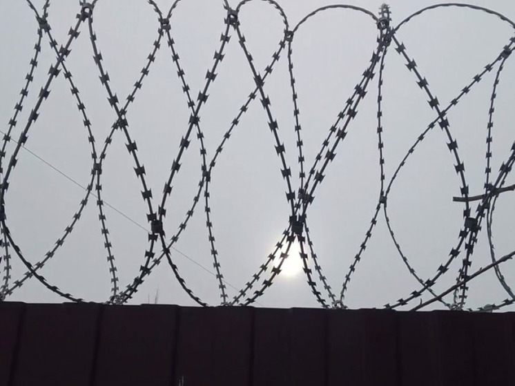 В Клину вынесли приговор главарю банды, похитившей 40 гектаров земли