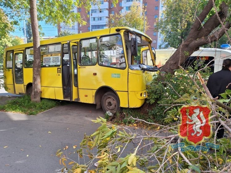 Екатеринбуржцы получили переломы костей и травмы головы в ДТП с автобусом