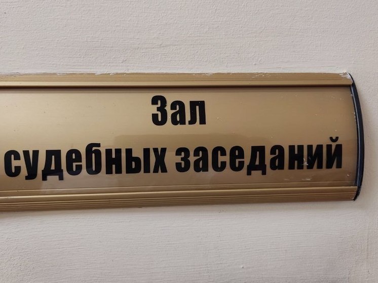 В Тосно мать-алиментщицу осудили на шесть месяцев лишения свободы