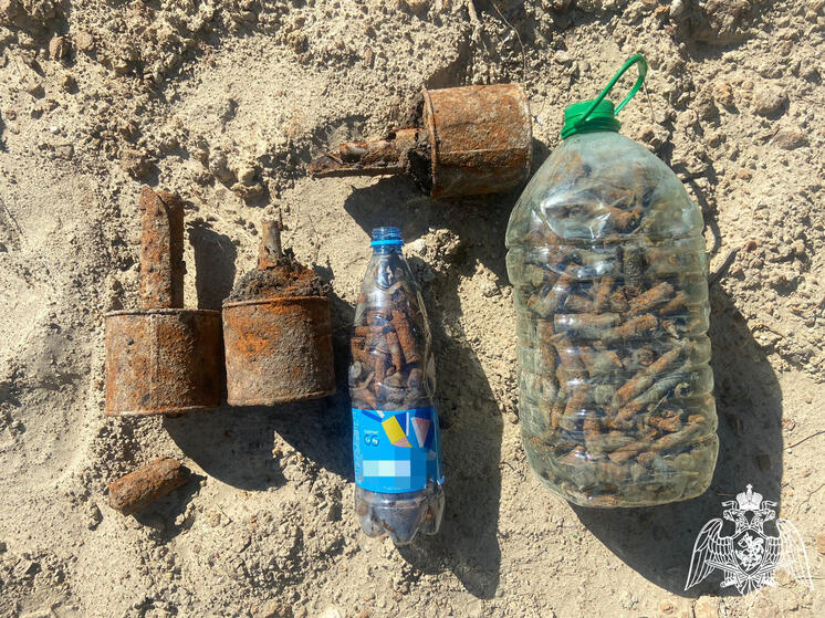 В Крымском районе возле ж/д путей нашли ручные гранаты и патроны времен ВОВ