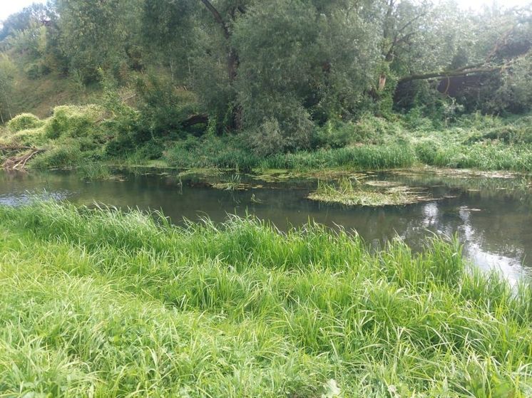 За лето во Владимирской области утонули 38 человек