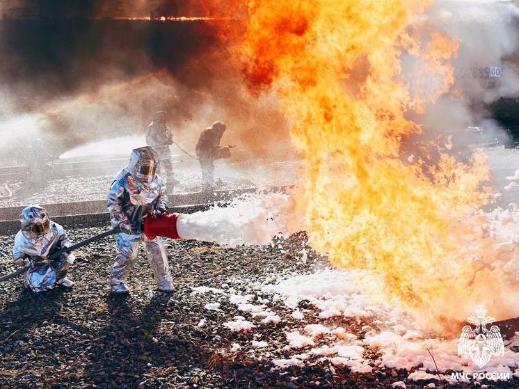 40 спасателей тушат дома в Журавке Воронежской области