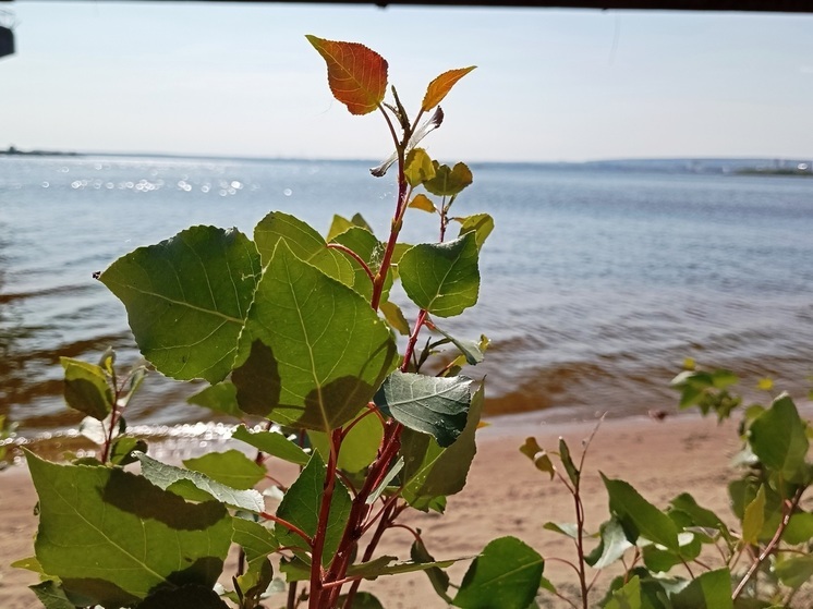 Сила магнитной бури 28 августа составит 3 балла