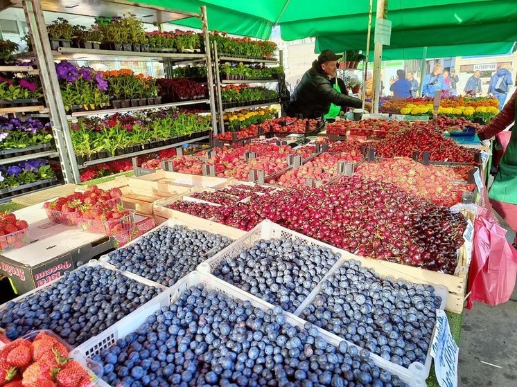 Калининградец обманул фермера под Неманом, не заплатив за купленные ягоды