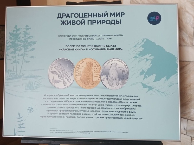 Выставка изображений монет с редкими животными открылась в Чите