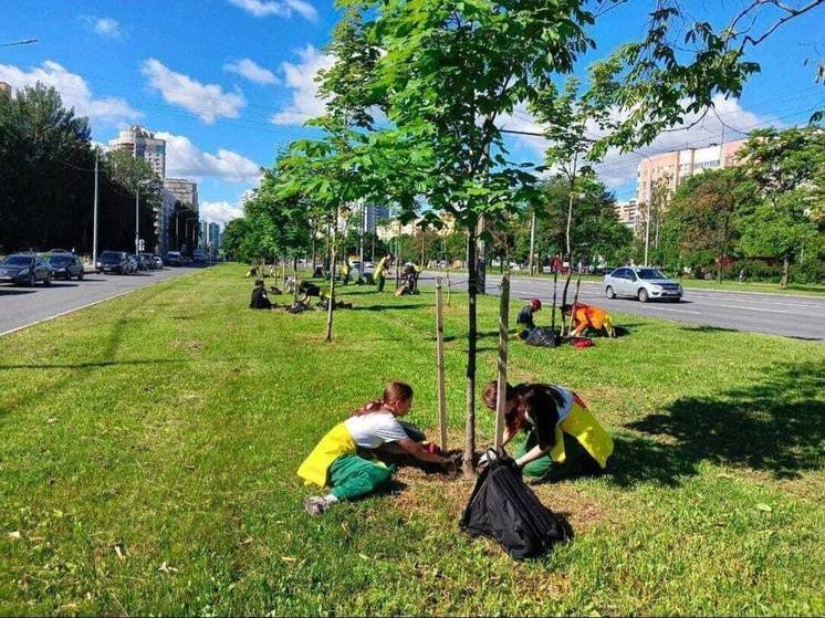 На городских магистралях появляется новая дорожная разметка