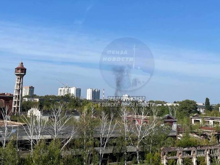 В Пензе в районе Арбеково произошел пожар