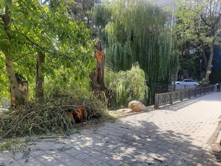 Ветку сняли с проводов возле моста через Салгир