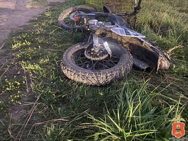 Под Тверью пьяный мотоциклист сбил двух пешеходов