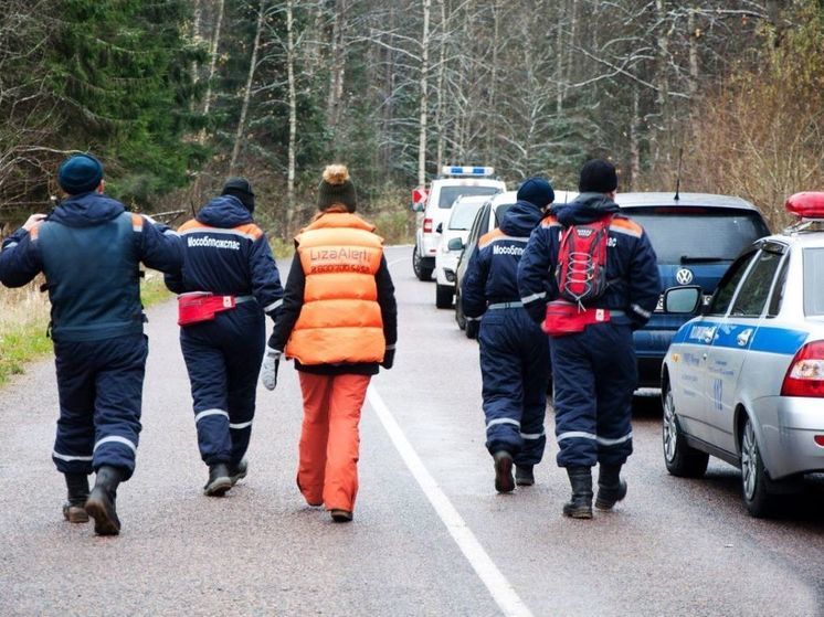 Свыше 200 человек заблудились в подмосковных лесах в августе