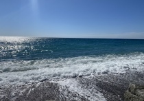 Российские средства ПВО уничтожили три безэкипажных катера ВСУ, которые направлялись в сторону Крымского полуострова, сообщили в Минобороны России