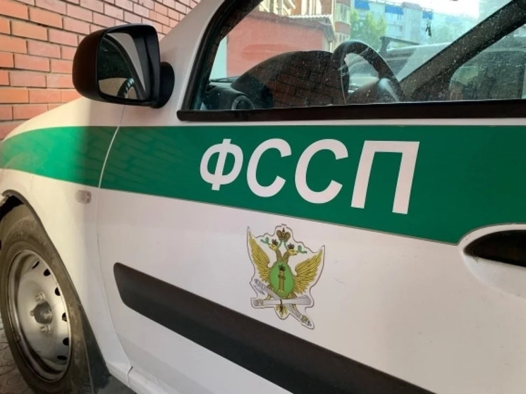 Новосибирец погасил долг по алиментам благодаря СВО