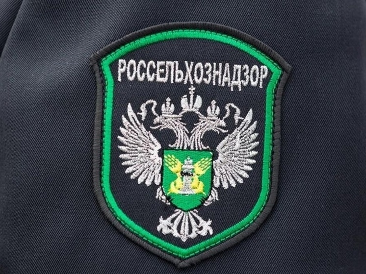 Под Тверью выявили очаг вредного сорняка