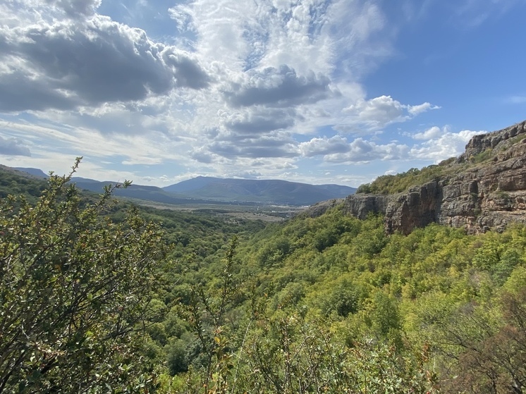 В Крыму продлили запрет на посещение лесов