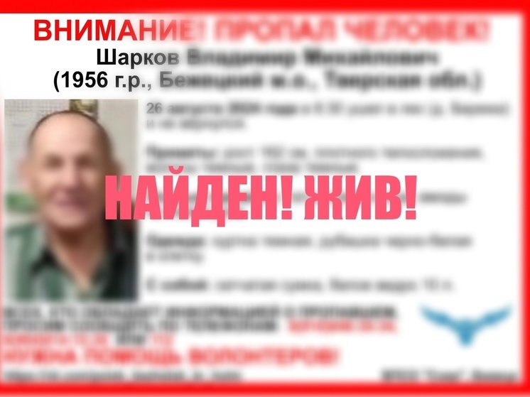 Пропавшего в Тверской области грибника нашли живым