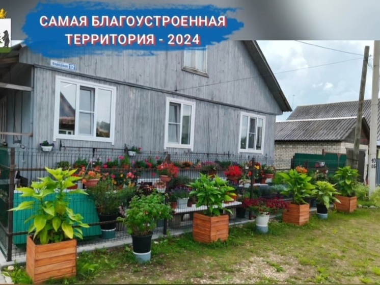 В Пестовском округе подвели итоги конкурса по благоустройству территории