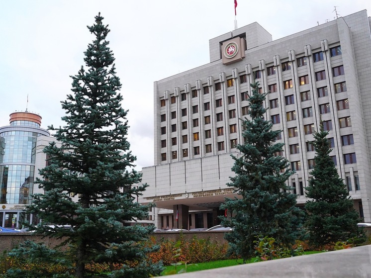 Перед выборами в Госсовет Татарстана члены УИК начинают подомовой обход