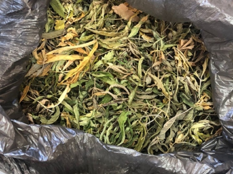 Полицейские у жителя Меленок изъяли коноплю и готовую марихуану