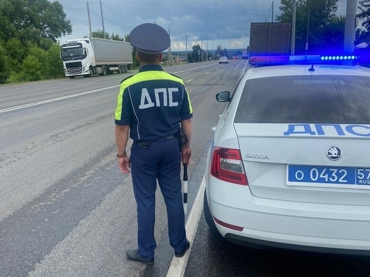 В Орловской области проводят рейды по выявлению пьяных водителей
