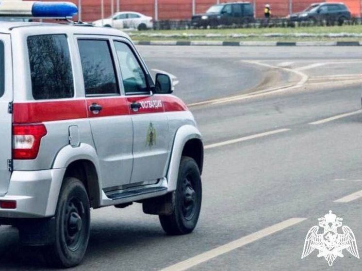 Подозреваемого в воровстве задержали росгвардейцы