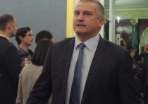 Глава Крыма Сергей Аксенов сообщил в эфире телеканала "Крым 24", что после избирательной кампании новый состав парламента обсудит ряд инициатив в части усиления контроля в сфере нелегальной миграции