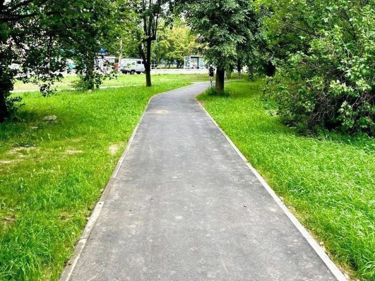 Свыше 420 «народных троп» обустроили в Подмосковье с начала года