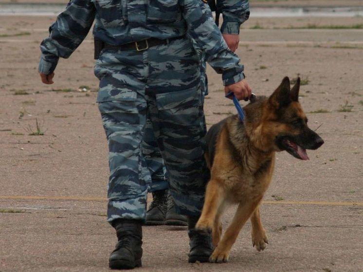 В Одинцово эвакуировали посетителей из ТЦ «Дубрава»