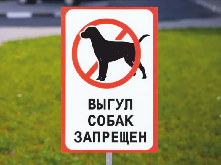 В Ярославле не нашли нарушителей «собачьего» закона