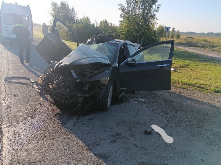 25-летний мужчина погиб в ДТП с грузовиком и легковушкой на трассе Омск-Новосибирск