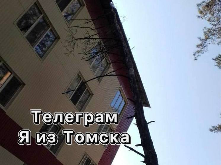 Томичи жалуются на упавшее на дом дерево