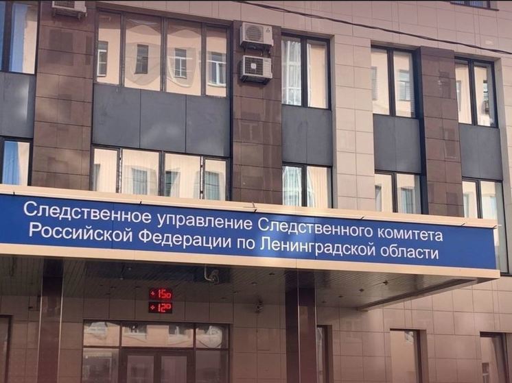 Бастрыкин заинтересовался смертью рабочего от электротравмы в Кировске