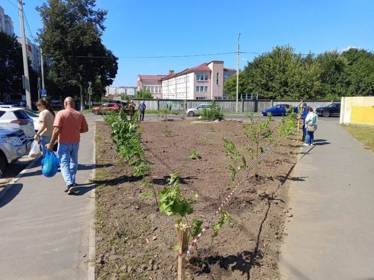 В Бежицком районе Брянска место свалки заняли гортензии