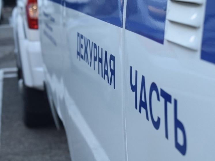В Владимире мужчина, сбежавший из реабилитационного центра, совершил серию краж